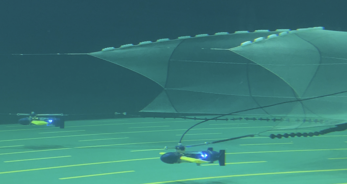 Underwater footage